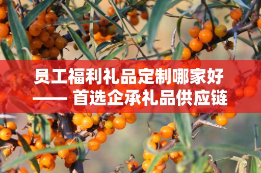 员工福利礼品定制哪家好 —— 首选企承礼品供应链